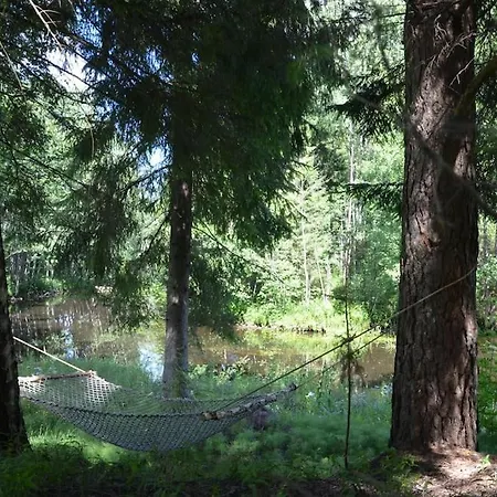 Lodge Saia Forest House