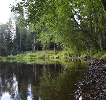 Saia Forest House Gerendaház