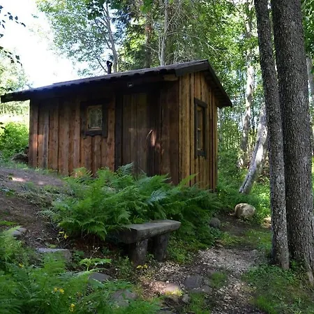 Lodge Saia Forest House *