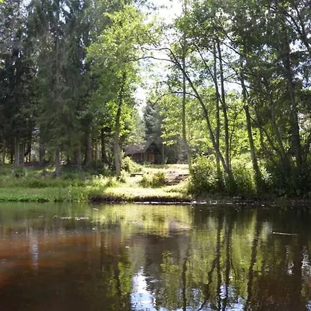 Lodge Saia Forest House *