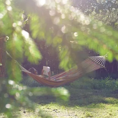 Gerendaház Saia Forest House Vose