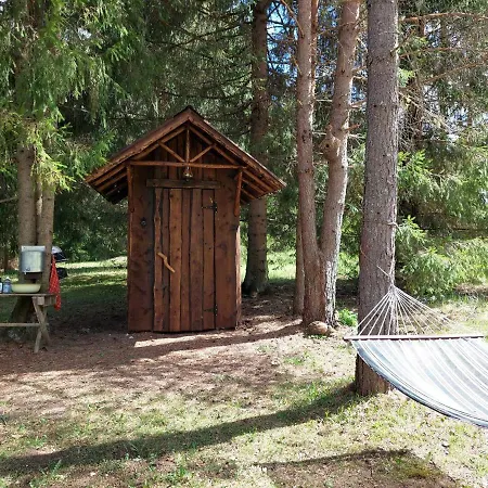 Saia Forest House