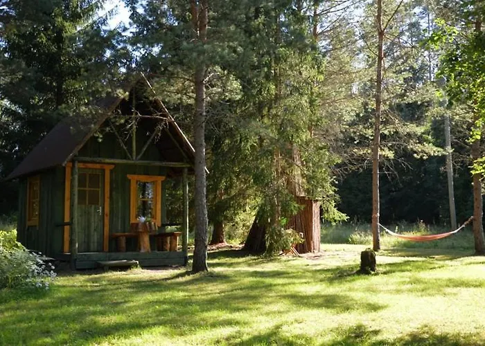 Saia Forest House
