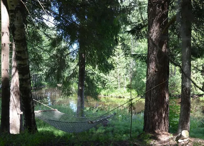 بيت خشبي Saia Forest House