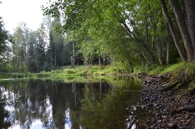 Saia Forest House بيت خشبي