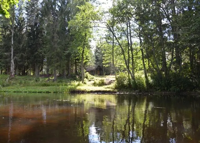 بيت خشبي Saia Forest House *