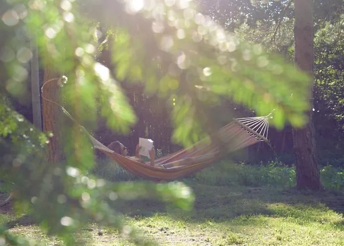 بيت خشبي Saia Forest House Vose