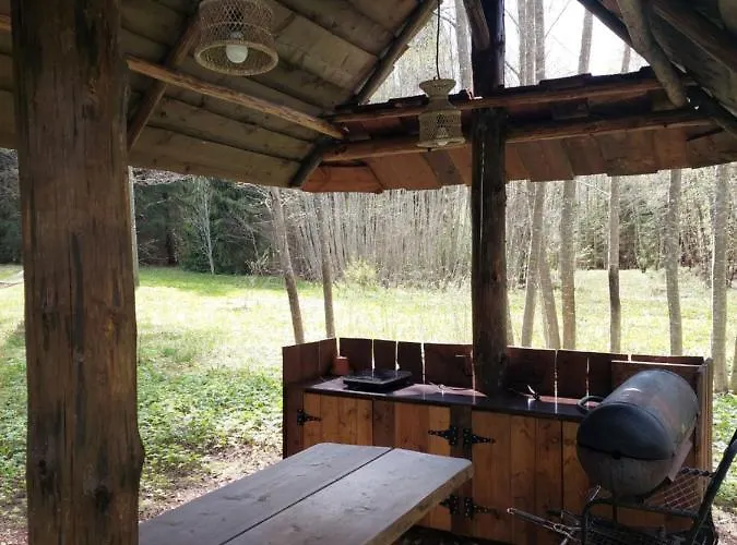 بيت خشبي Saia Forest House *